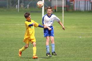 九游官网入口活动-美国乒乓队未来目标:如何提高整体竞技水平,冲击世界大赛,美国乒乓球运动