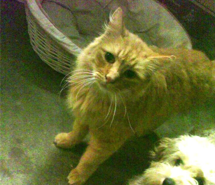 九游娱乐下载-中国足球国家队心理素质提升训练体系完善,中国足球国家队心理素质提升训练体系完善了吗