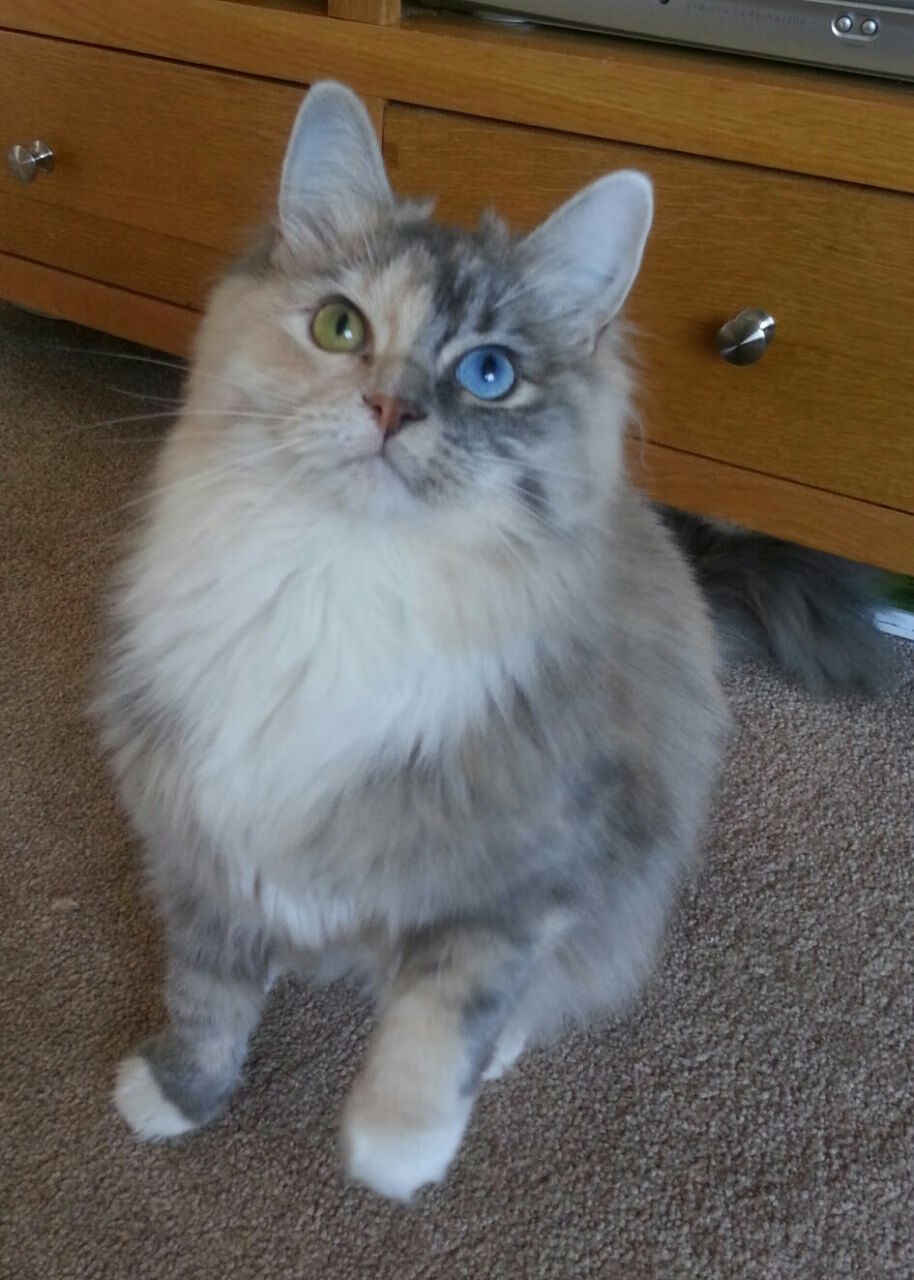 九游娱乐官方平台-湖人队内进行投篮竞赛促进球员良性竞争，打篮球湖人队