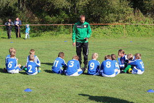 九游娱乐app下载-乌鸦防线表现完美,对手几乎无解,乌鸦攻击什么